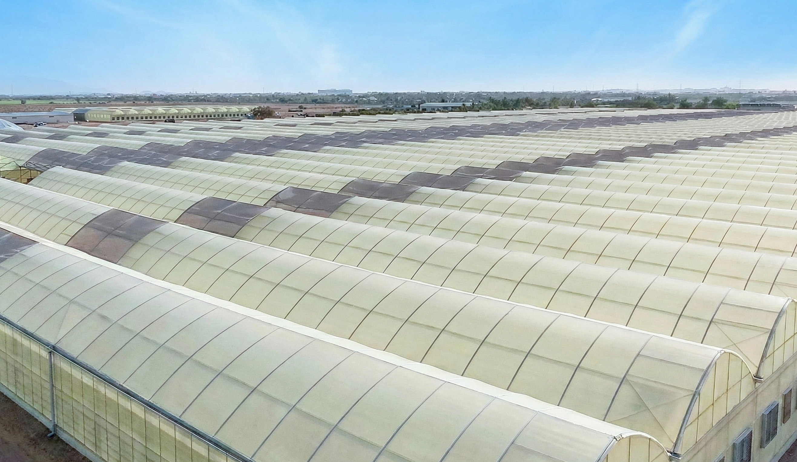 Large-scale greenhouse facility