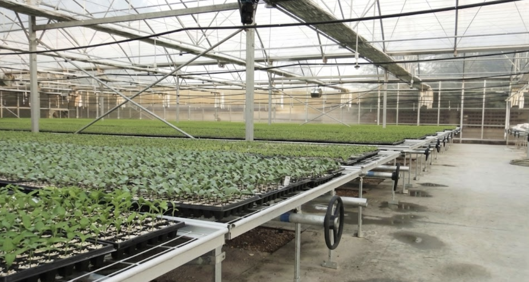 Mesh Seeding Bench
