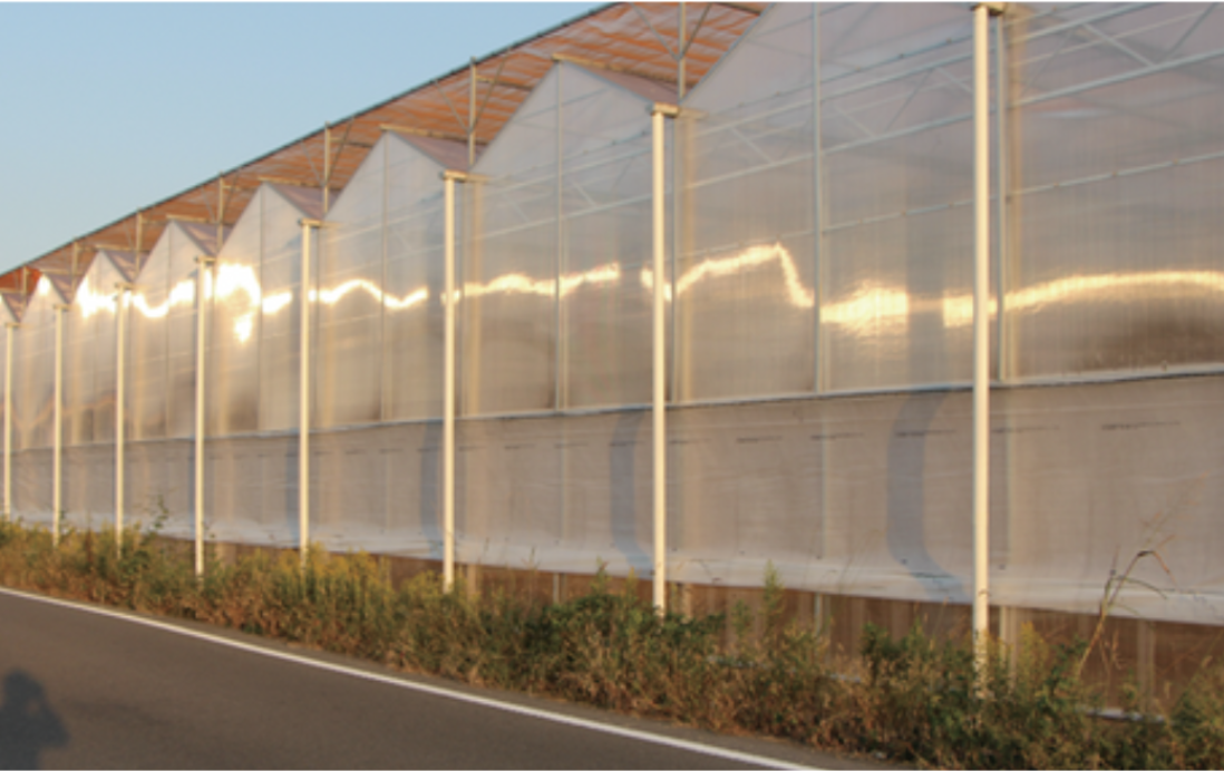 Greenhouse Project Japan