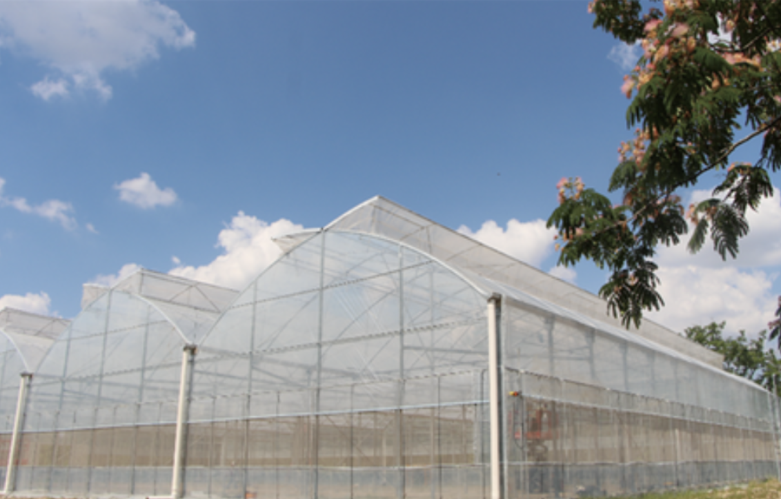 Greenhouse Project USA